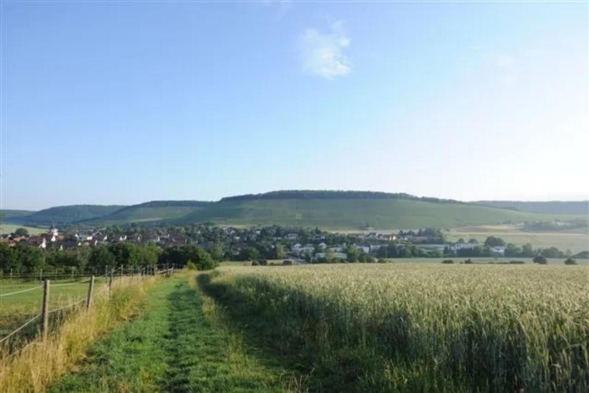 Landpension Wachtkopf Vaihingen an der Enz Eksteriør bilde
