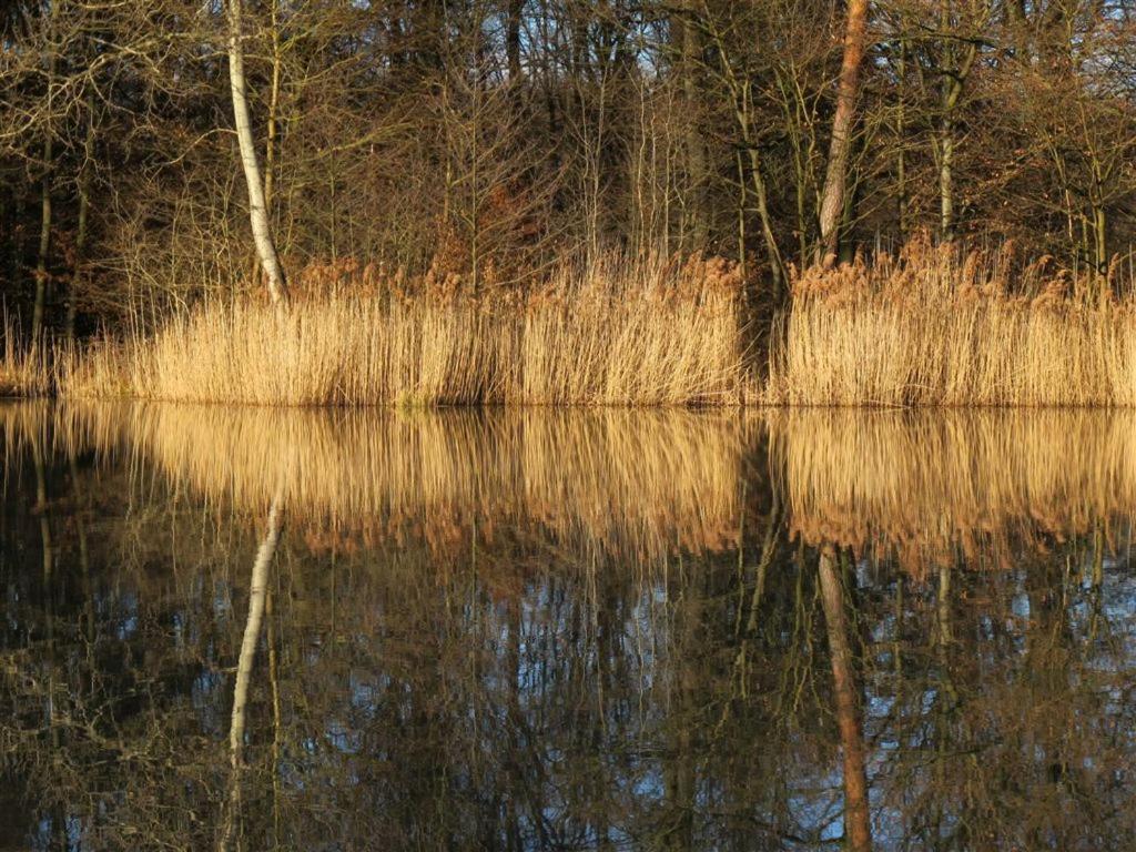 Landpension Wachtkopf Vaihingen an der Enz Eksteriør bilde