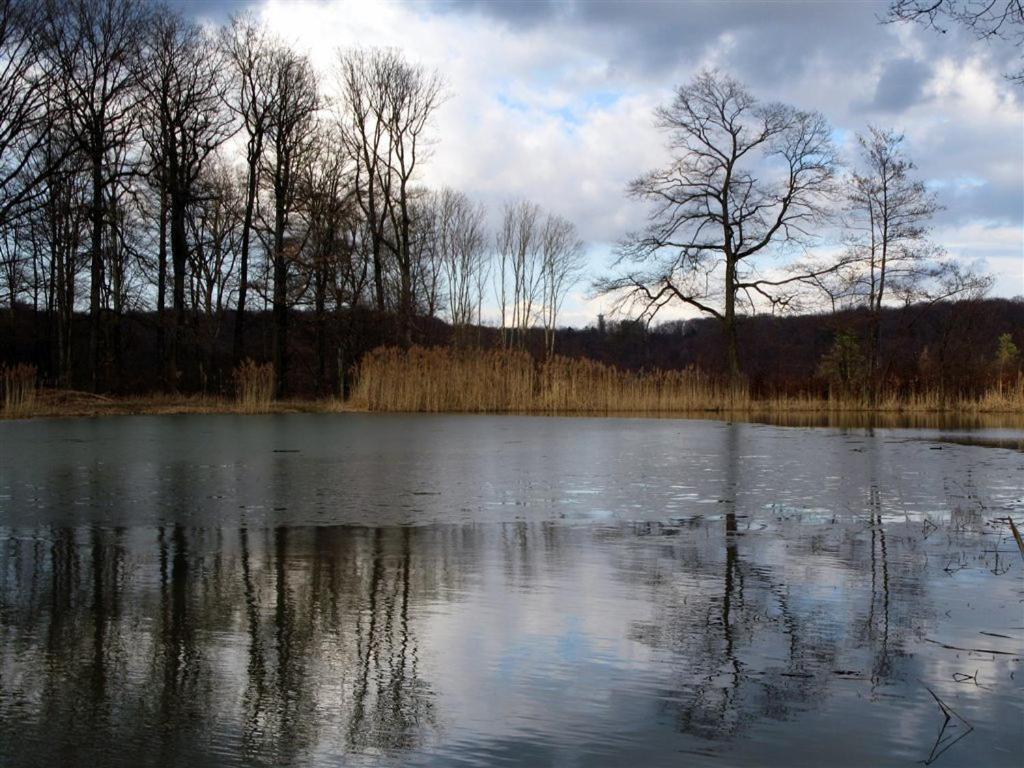 Landpension Wachtkopf Vaihingen an der Enz Eksteriør bilde