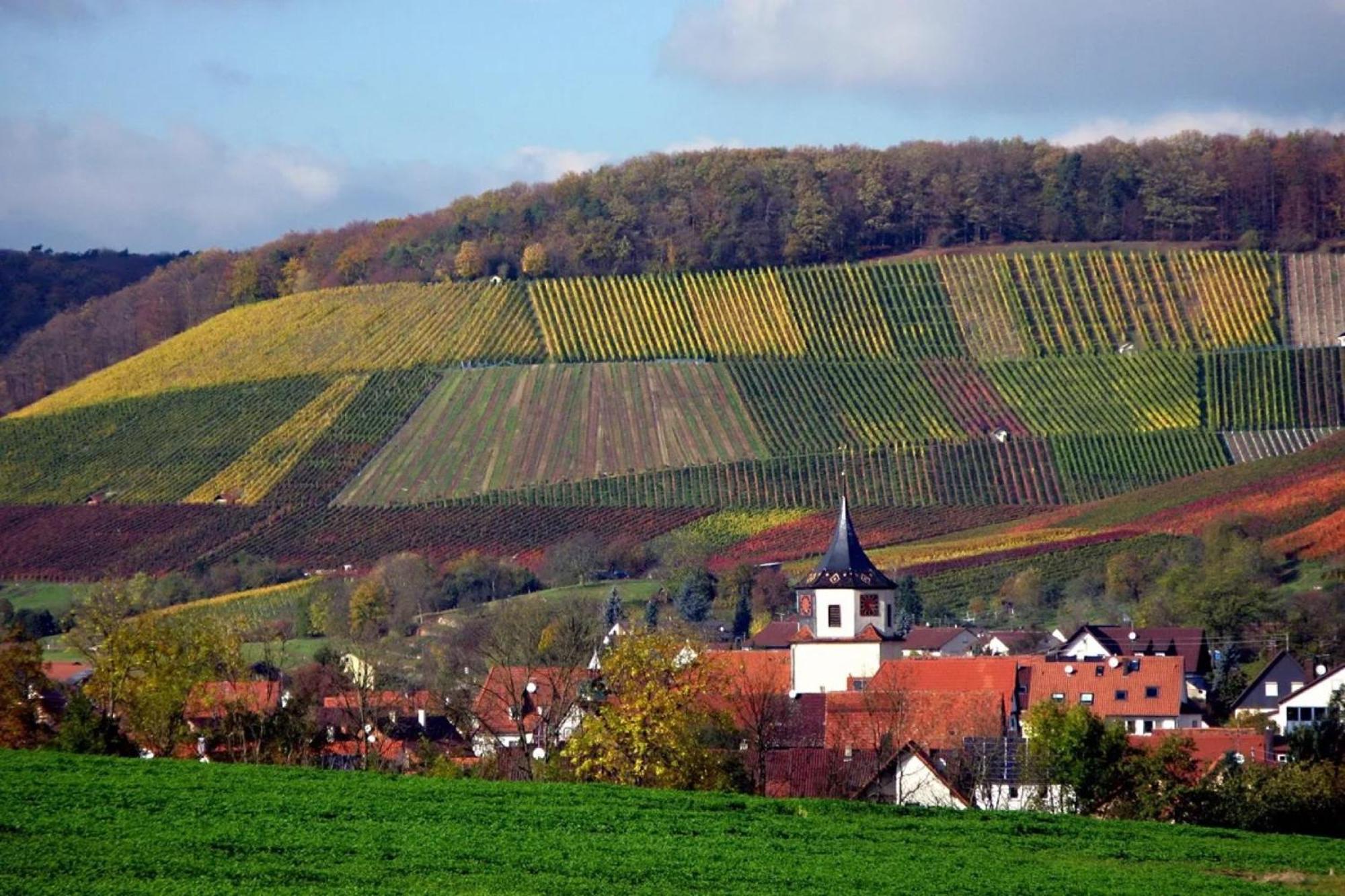Landpension Wachtkopf Vaihingen an der Enz Eksteriør bilde